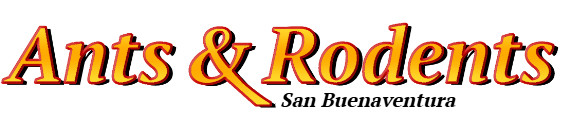 San Buenaventura Ant Exterminator & Rodent Control Company Logo